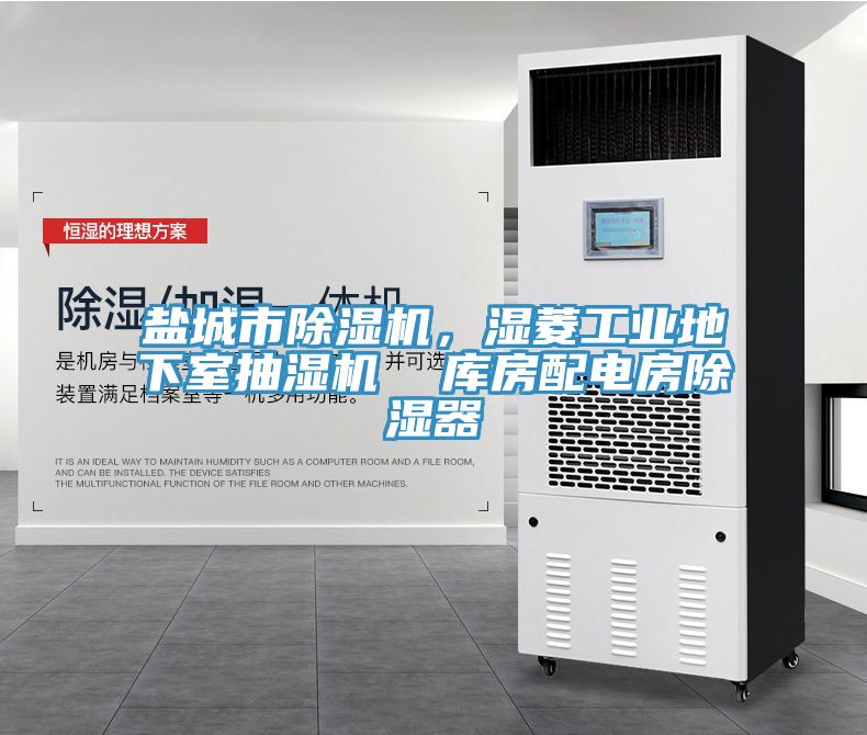 鹽城市除濕機，濕菱工業(yè)地下室抽濕機  庫房配電房除濕器