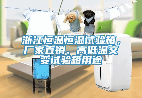 浙江恒溫恒濕試驗(yàn)箱，廠(chǎng)家直銷(xiāo)、高低溫交變?cè)囼?yàn)箱用途