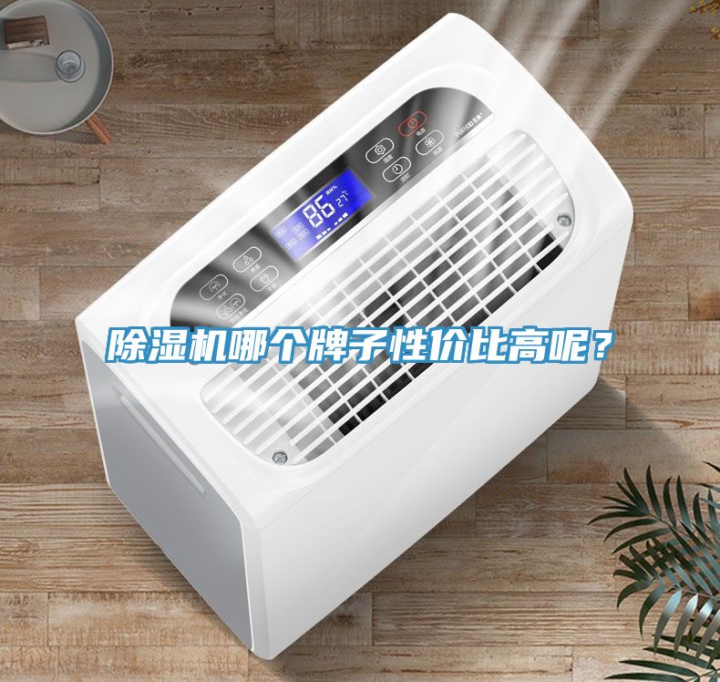 除濕機哪個牌子性價比高呢？
