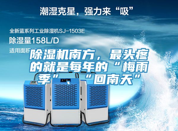 除濕機南方，最頭疼的就是每年的“梅雨季”、“回南天”