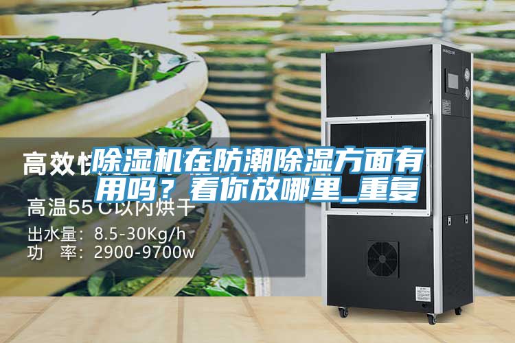 除濕機在防潮除濕方面有用嗎？看你放哪里_重復(fù)