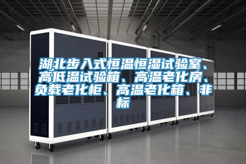 湖北步入式恒溫恒濕試驗(yàn)室、高低溫試驗(yàn)箱、高溫老化房、負(fù)載老化柜、高溫老化箱、非標(biāo)