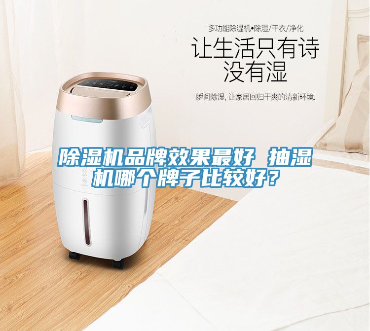 除濕機品牌效果最好 抽濕機哪個牌子比較好？