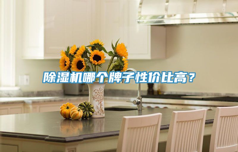 除濕機(jī)哪個(gè)牌子性價(jià)比高？
