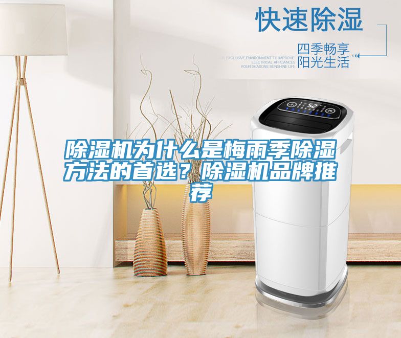 除濕機為什么是梅雨季除濕方法的首選？除濕機品牌推薦