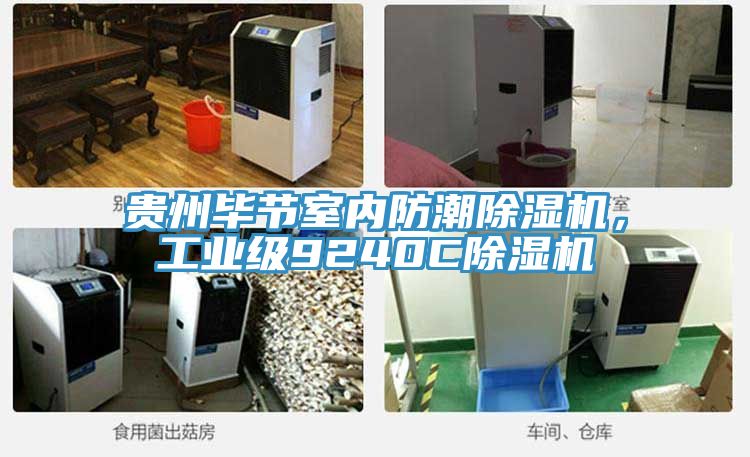 貴州畢節(jié)室內(nèi)防潮除濕機，工業(yè)級9240C除濕機