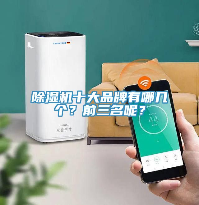 除濕機(jī)十大品牌有哪幾個(gè)？前三名呢？