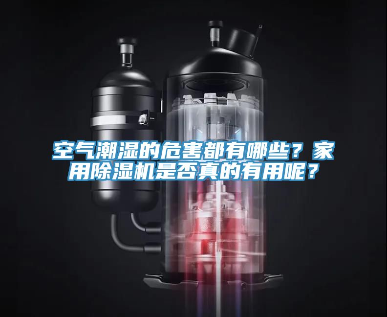 空氣潮濕的危害都有哪些？家用除濕機是否真的有用呢？