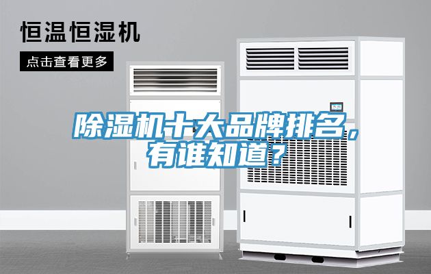 除濕機十大品牌排名，有誰知道？