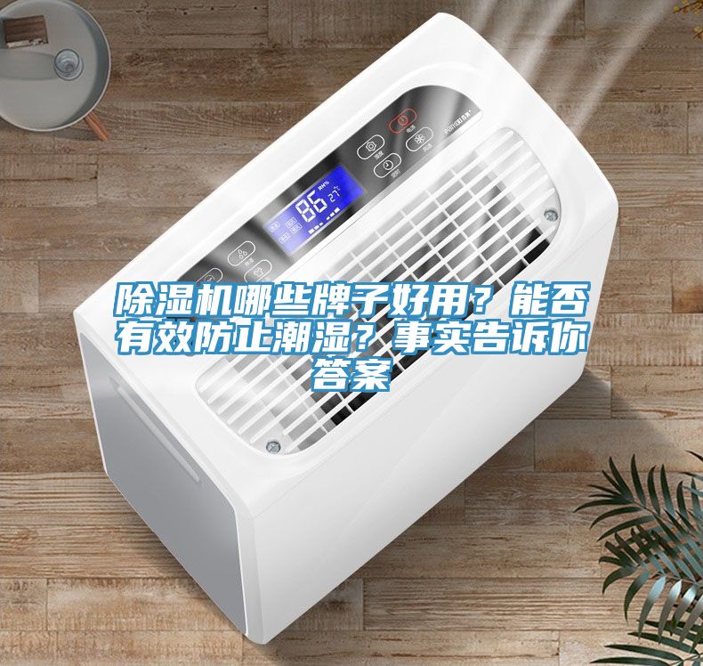 除濕機哪些牌子好用？能否有效防止潮濕？事實告訴你答案