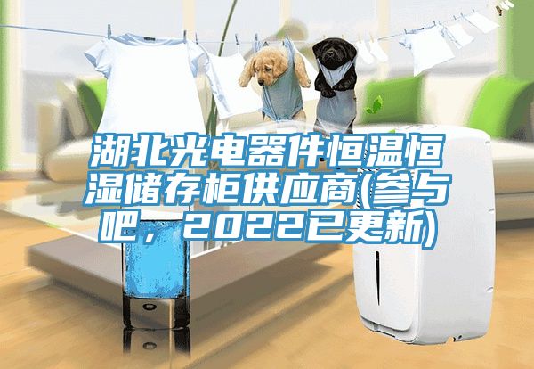 湖北光電器件恒溫恒濕儲存柜供應(yīng)商(參與吧，2022已更新)