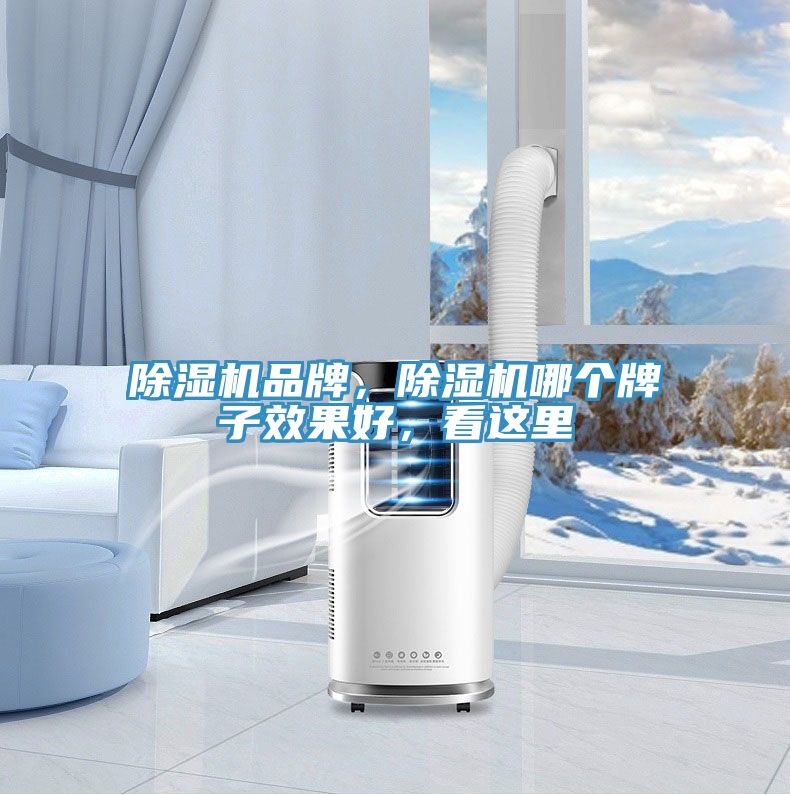 除濕機(jī)品牌，除濕機(jī)哪個(gè)牌子效果好，看這里