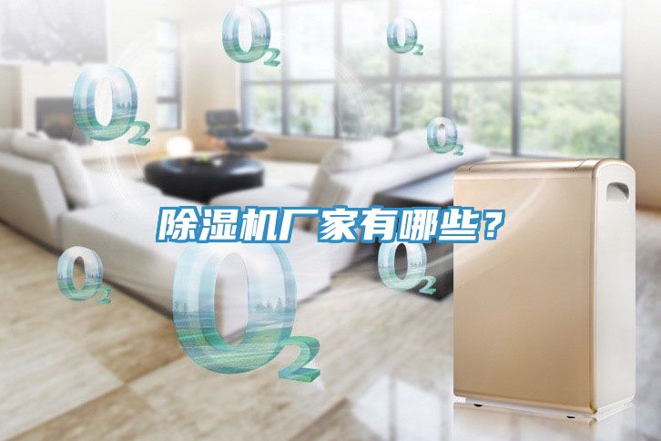 除濕機(jī)廠家有哪些？