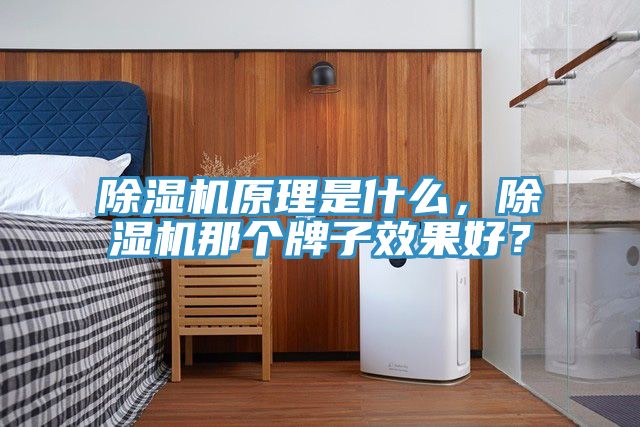 除濕機(jī)原理是什么，除濕機(jī)那個(gè)牌子效果好？