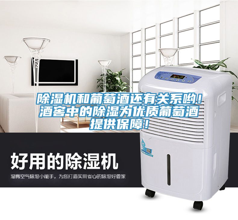 除濕機(jī)和葡萄酒還有關(guān)系喲！酒窖中的除濕為優(yōu)質(zhì)葡萄酒提供保障！