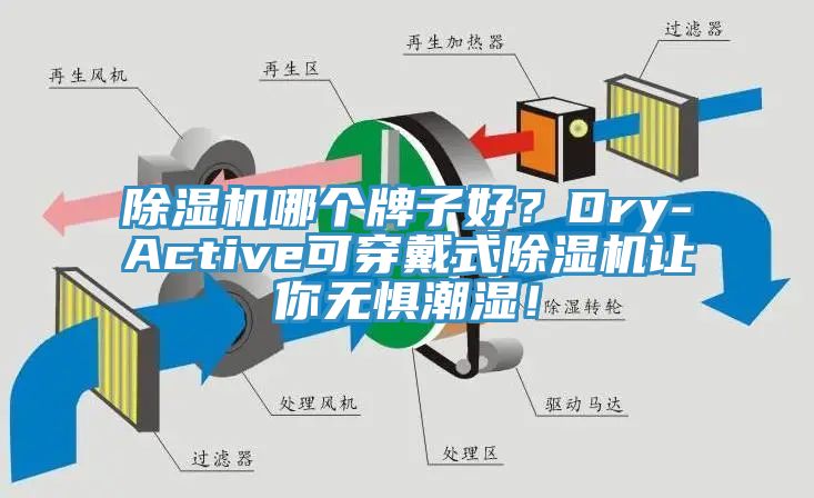 除濕機哪個牌子好？Dry-Active可穿戴式除濕機讓你無懼潮濕！