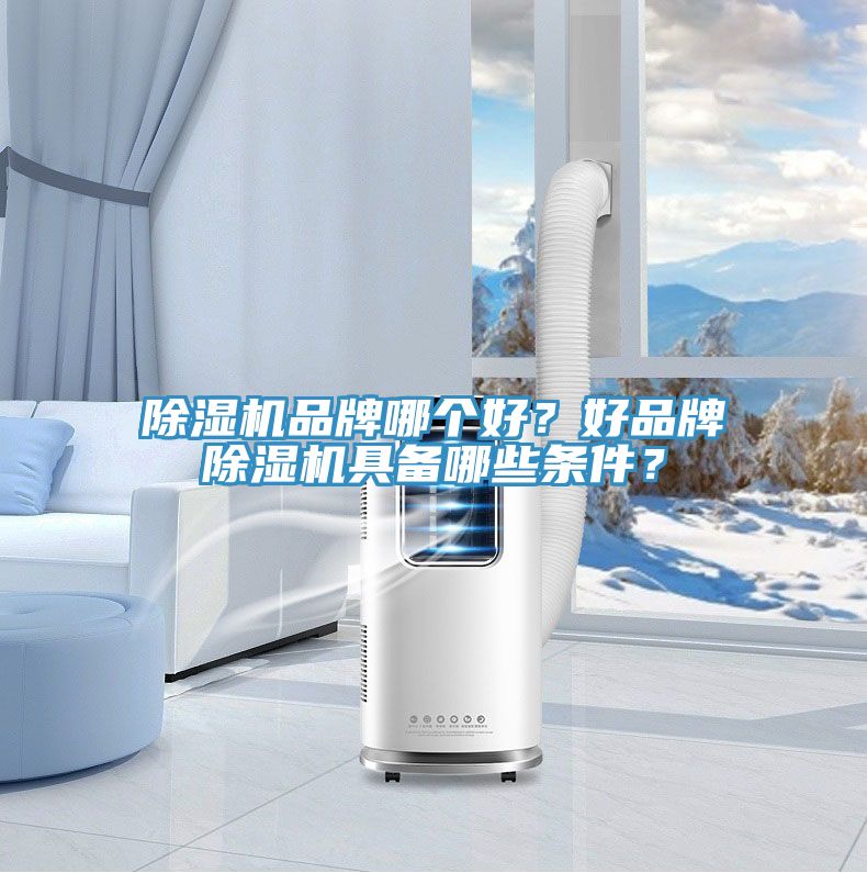 除濕機品牌哪個好？好品牌除濕機具備哪些條件？