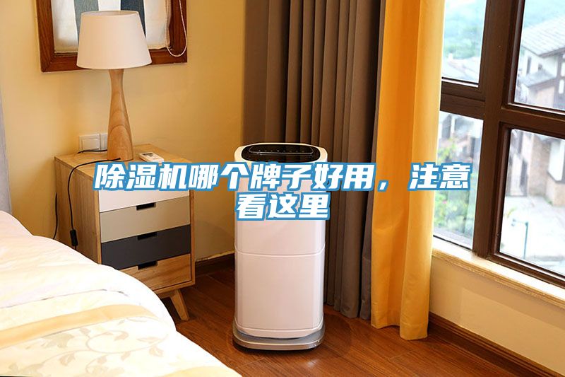 除濕機(jī)哪個(gè)牌子好用，注意看這里