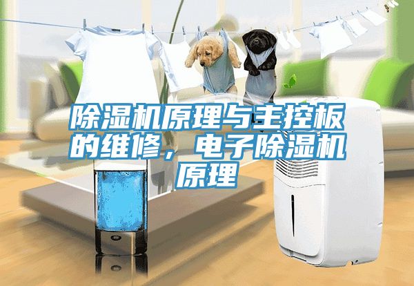 除濕機原理與主控板的維修，電子除濕機原理