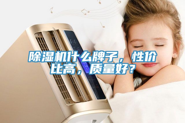 除濕機什么牌子，性價比高，質量好？