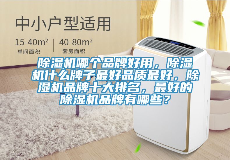 除濕機(jī)哪個(gè)品牌好用，除濕機(jī)什么牌子最好品質(zhì)最好，除濕機(jī)品牌十大排名，最好的除濕機(jī)品牌有哪些？