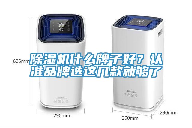 除濕機什么牌子好？認(rèn)準(zhǔn)品牌選這幾款就夠了