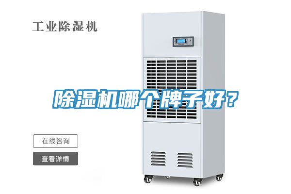 除濕機哪個牌子好？