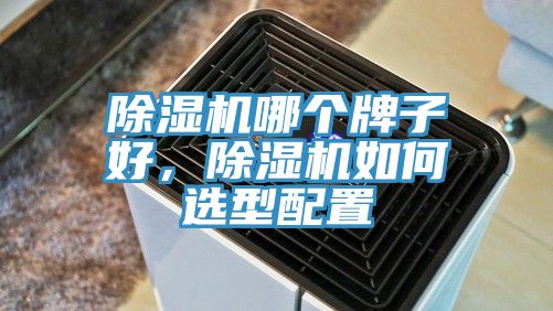 除濕機哪個牌子好，除濕機如何選型配置