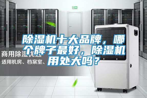 除濕機(jī)十大品牌，哪個(gè)牌子最好，除濕機(jī)用處大嗎？