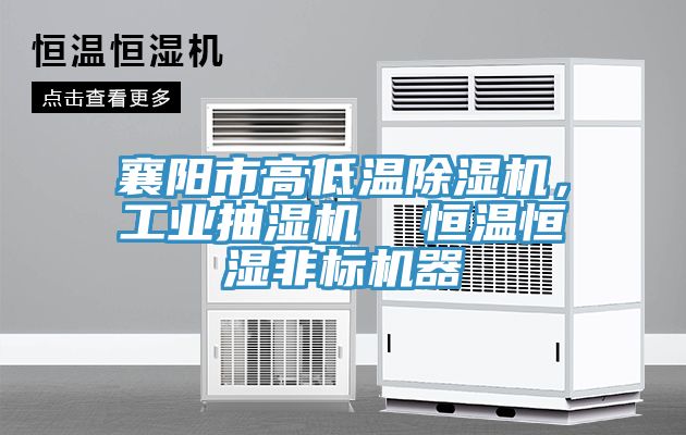 襄陽市高低溫除濕機(jī)，工業(yè)抽濕機(jī)  恒溫恒濕非標(biāo)機(jī)器
