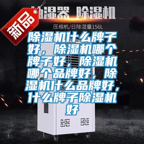 除濕機什么牌子好，除濕機哪個牌子好，除濕機哪個品牌好，除濕機什么品牌好，什么牌子除濕機好