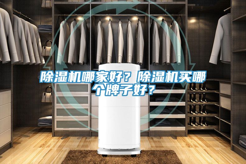 除濕機哪家好？除濕機買哪個牌子好？