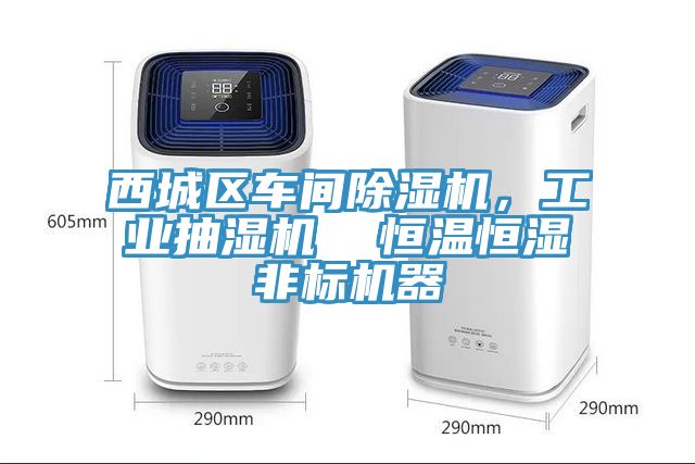 西城區(qū)車間除濕機(jī)，工業(yè)抽濕機(jī)  恒溫恒濕非標(biāo)機(jī)器
