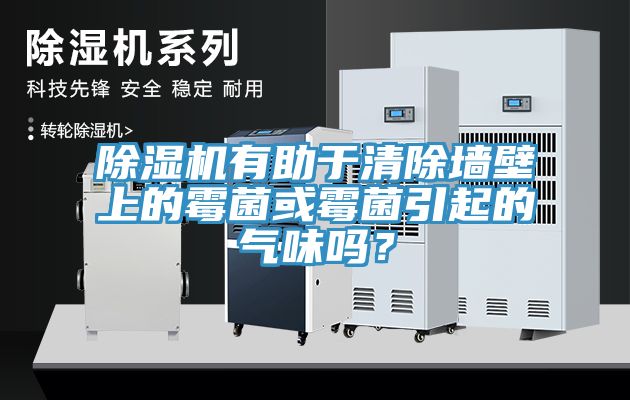 除濕機有助于清除墻壁上的霉菌或霉菌引起的氣味嗎？