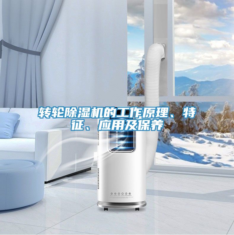 轉(zhuǎn)輪除濕機的工作原理、特征、應(yīng)用及保養(yǎng)