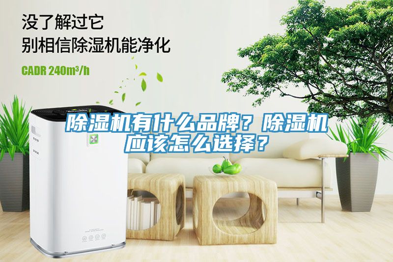 除濕機(jī)有什么品牌？除濕機(jī)應(yīng)該怎么選擇？