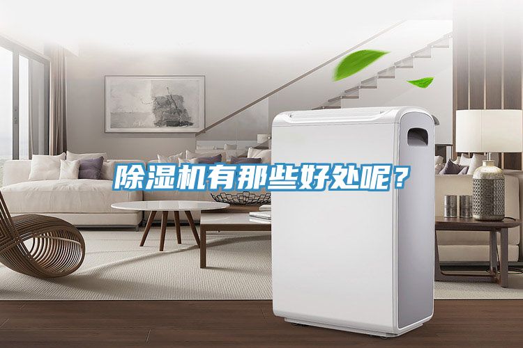 除濕機(jī)有那些好處呢？