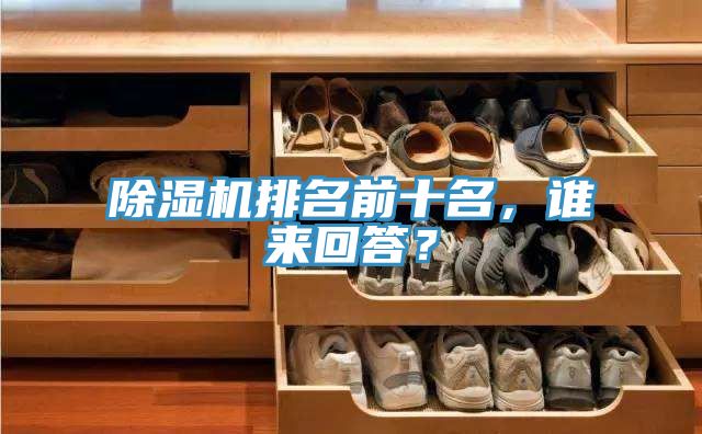 除濕機排名前十名，誰來回答？