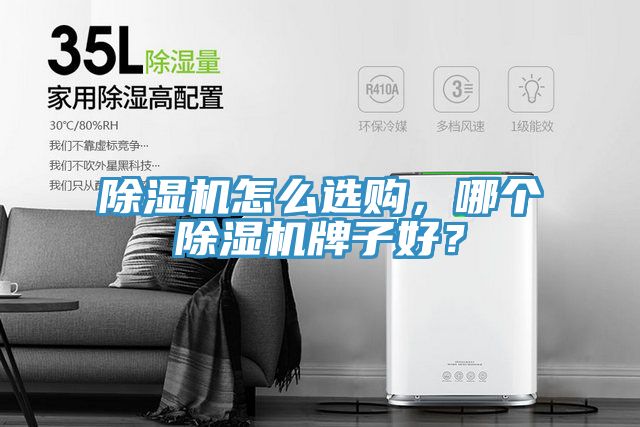 除濕機(jī)怎么選購(gòu)，哪個(gè)除濕機(jī)牌子好？