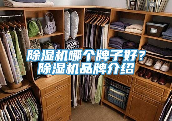 除濕機(jī)哪個(gè)牌子好？除濕機(jī)品牌介紹