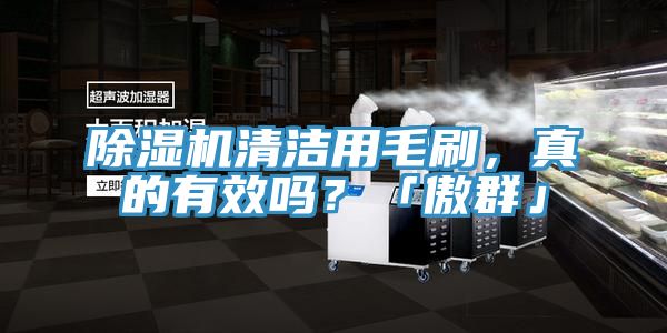 除濕機(jī)清潔用毛刷，真的有效嗎？「傲群」