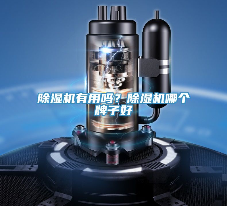 除濕機(jī)有用嗎？除濕機(jī)哪個(gè)牌子好