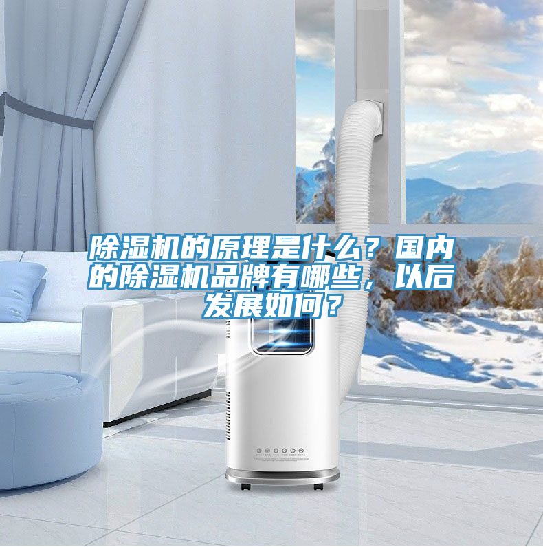 除濕機的原理是什么？國內的除濕機品牌有哪些，以后發(fā)展如何？