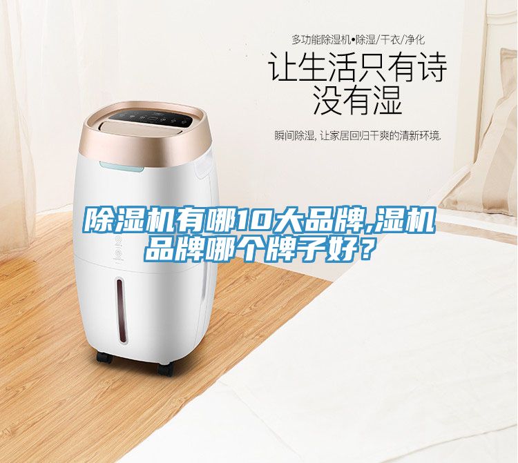 除濕機(jī)有哪10大品牌,濕機(jī)品牌哪個(gè)牌子好？