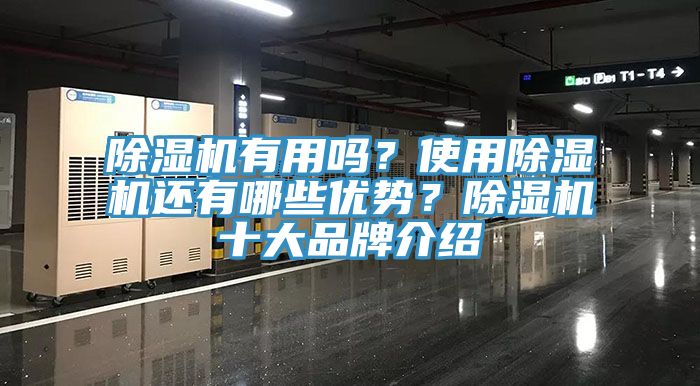 除濕機(jī)有用嗎？使用除濕機(jī)還有哪些優(yōu)勢？除濕機(jī)十大品牌介紹
