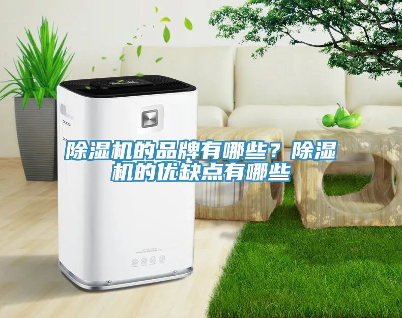 除濕機(jī)的品牌有哪些？除濕機(jī)的優(yōu)缺點(diǎn)有哪些
