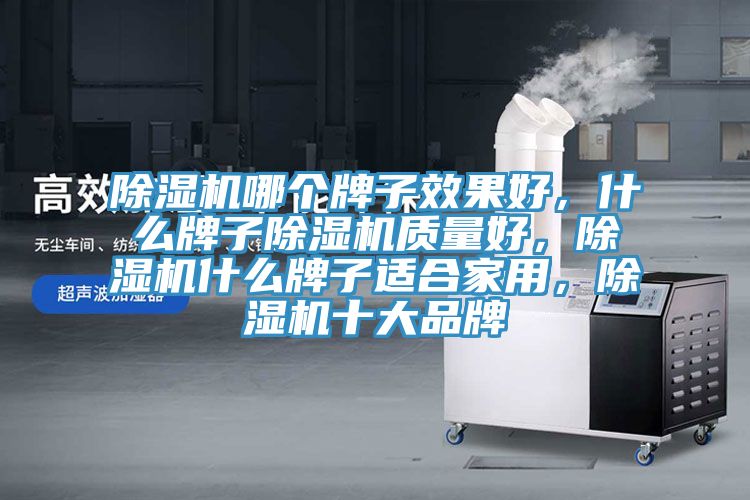 除濕機(jī)哪個(gè)牌子效果好，什么牌子除濕機(jī)質(zhì)量好，除濕機(jī)什么牌子適合家用，除濕機(jī)十大品牌