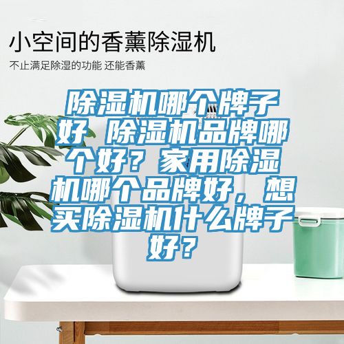 除濕機(jī)哪個牌子好 除濕機(jī)品牌哪個好？家用除濕機(jī)哪個品牌好，想買除濕機(jī)什么牌子好？