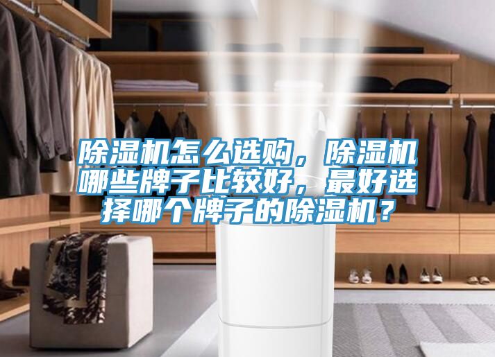 除濕機(jī)怎么選購(gòu)，除濕機(jī)哪些牌子比較好，最好選擇哪個(gè)牌子的除濕機(jī)？