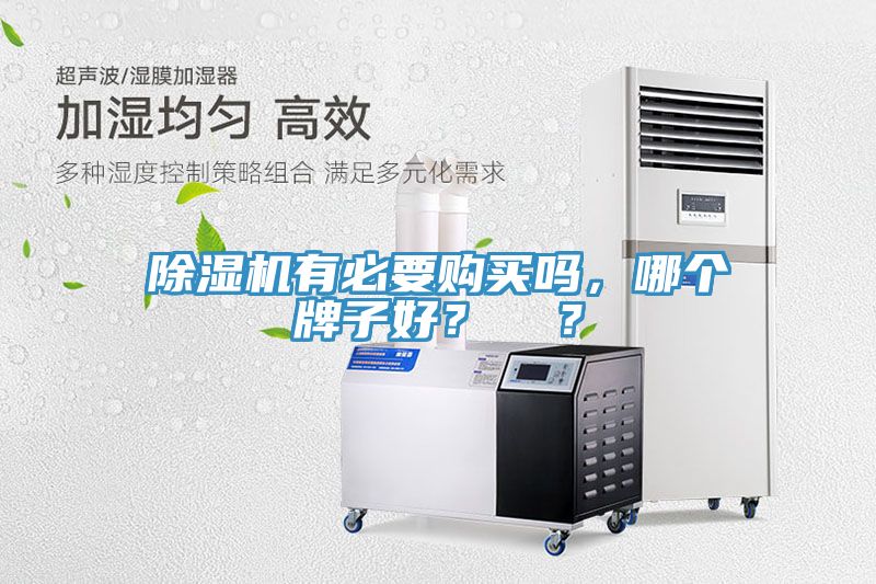 除濕機(jī)有必要購買嗎，哪個(gè)牌子好？  ？